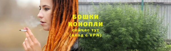 сатива Зеленокумск