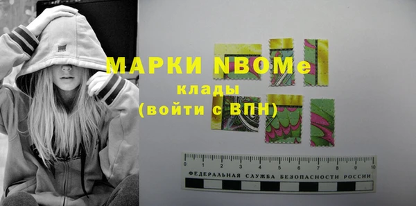 сатива Зеленокумск
