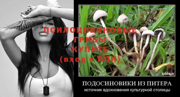 сатива Зеленокумск