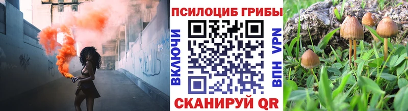 Галлюциногенные грибы GOLDEN TEACHER  Домодедово 