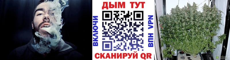 Бошки Шишки MAZAR  Домодедово 